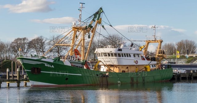 Beam Trawler try serious offers - picture 1