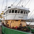 Price reduced Beam Trawler price reduced - picture 30